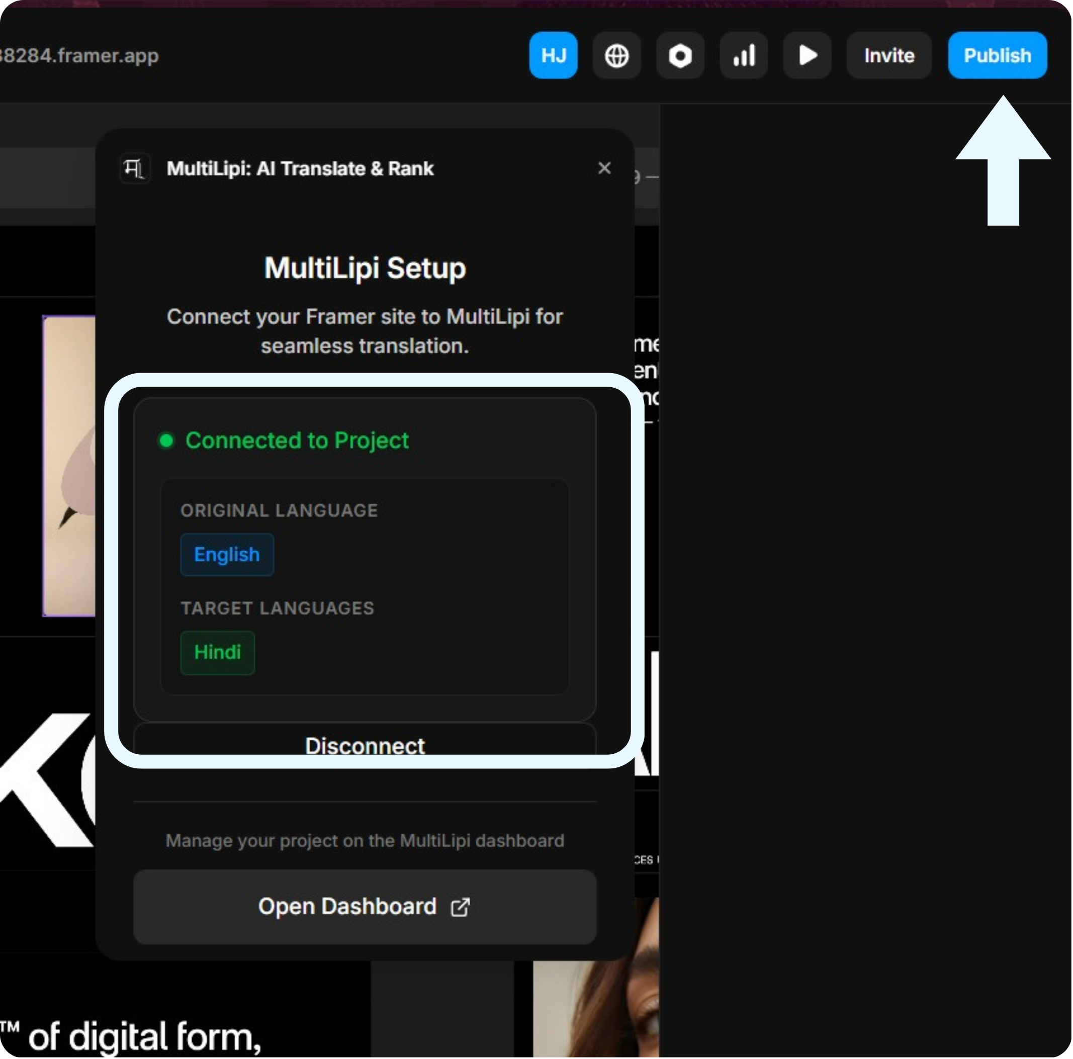 MultiLipi plugin showing Connected to Project status with English original and Hindi target language