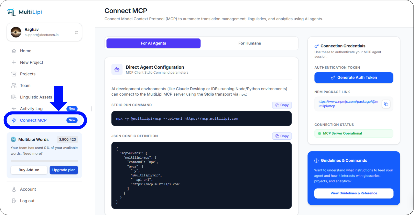MultiLipi Connect MCP workspace showing code syntax fields and token layout