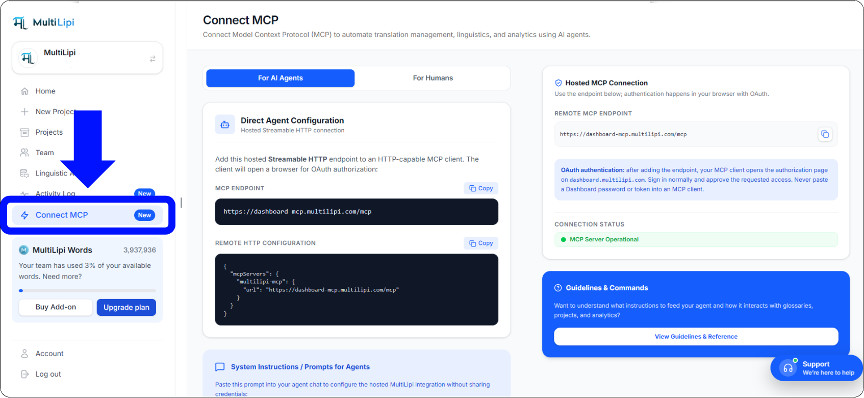 MultiLipi Connect MCP Dashboard — For AI Agents tab showing hosted Streamable HTTP endpoint and configuration