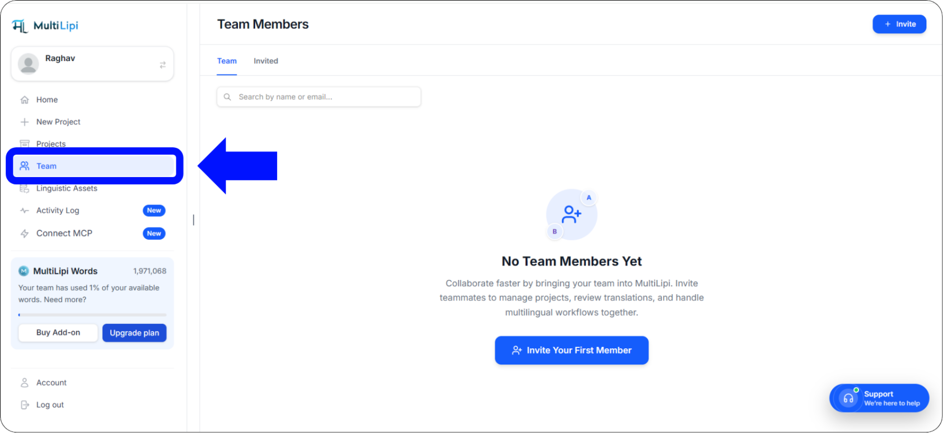 MultiLipi Team tab in the left-hand navigation panel