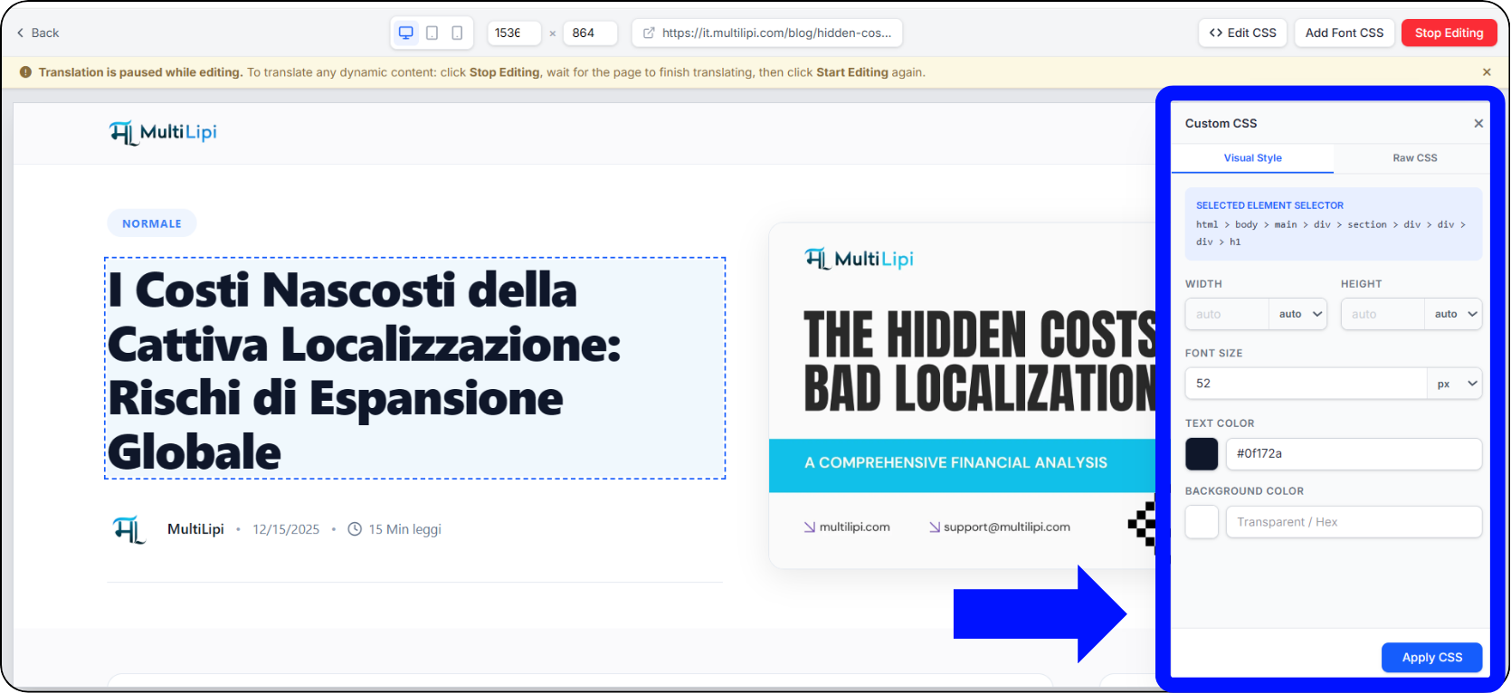 MultiLipi Visual Editor Custom CSS sidebar with Visual Style tab controls
