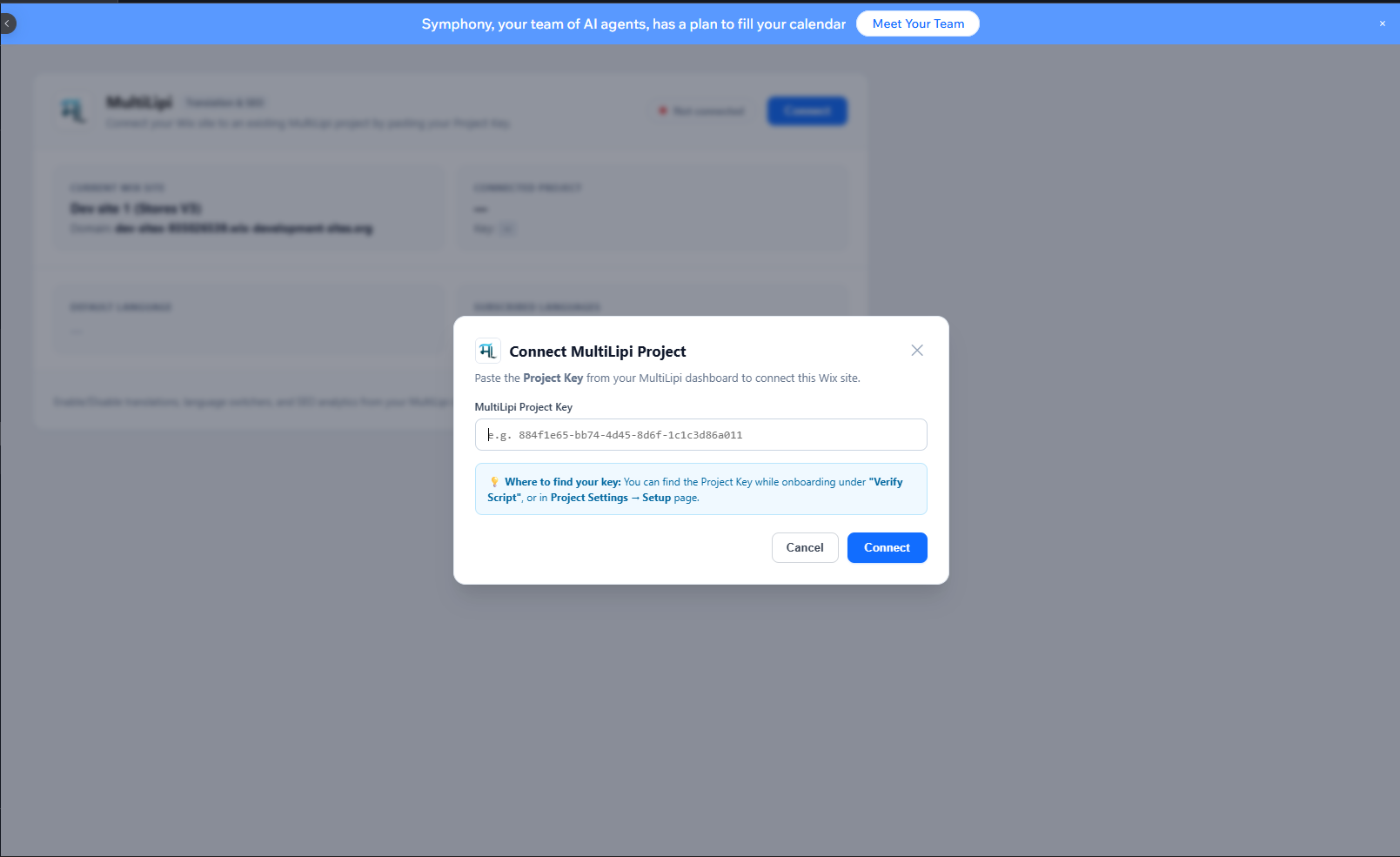 Figure 3.1 - Connect MultiLipi Project Key Input